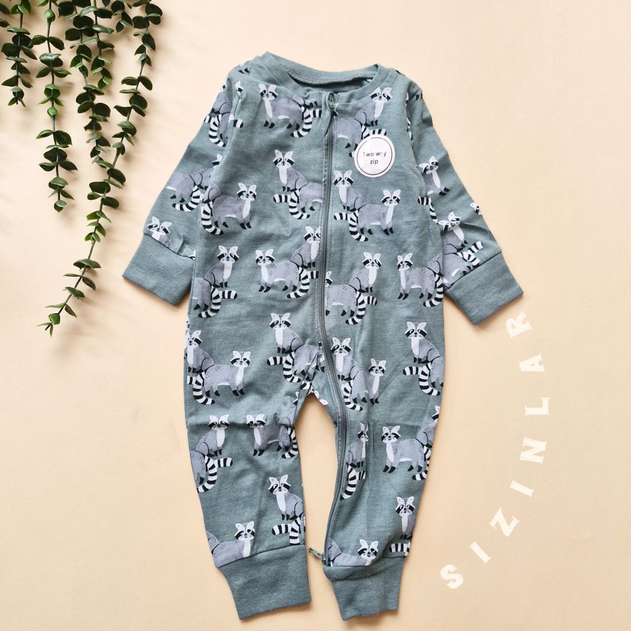 photo_2024-11-12_00-55-50 طرح راکون